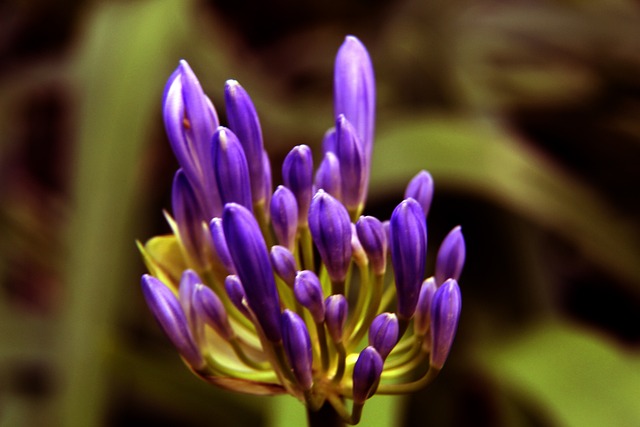 的精彩进球 的精彩进球