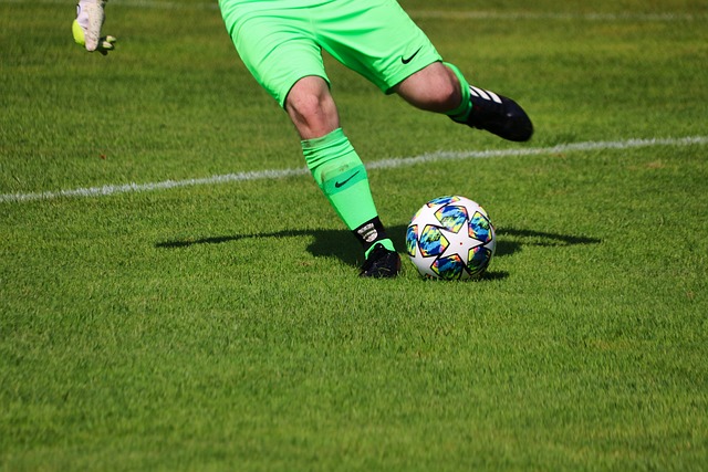 布里的出色 布里的出色