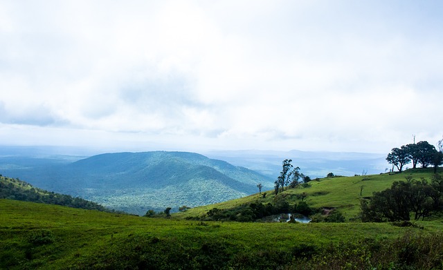 他们凭借刻 他们凭借刻