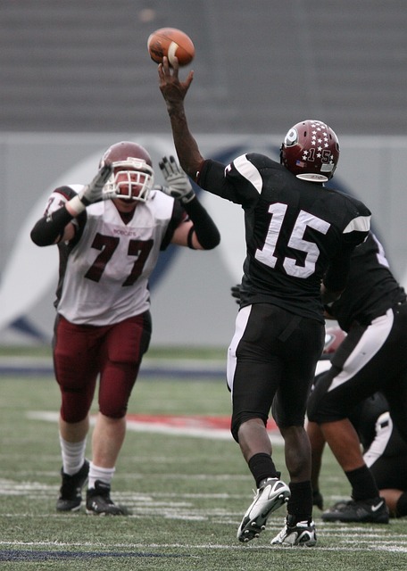 仅善于组织 仅善于组织