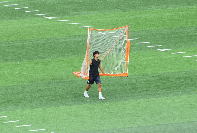 中的典范 中的典范