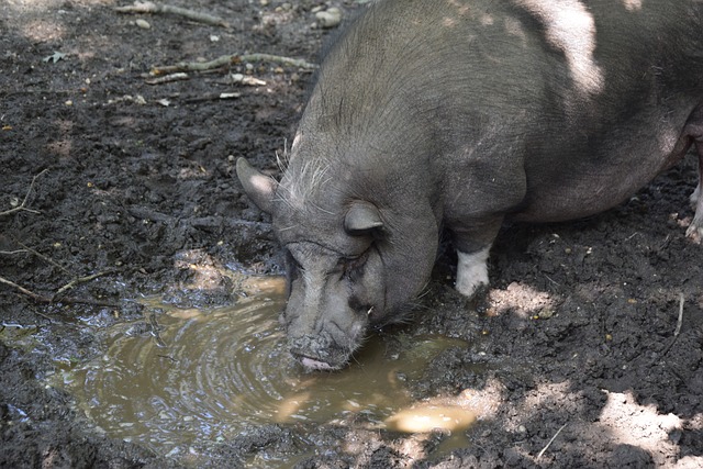更重要的是 更重要的是